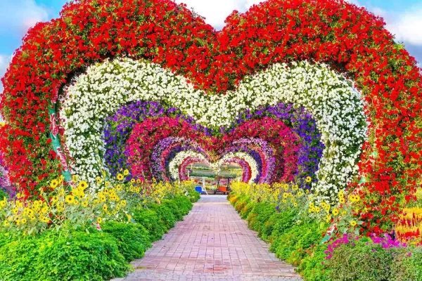 Dubai Miracle Garden - Image 3