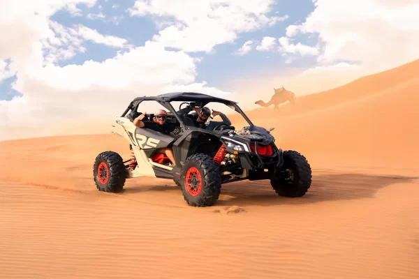 2-Seater Dune Buggy Expedition - Image 2