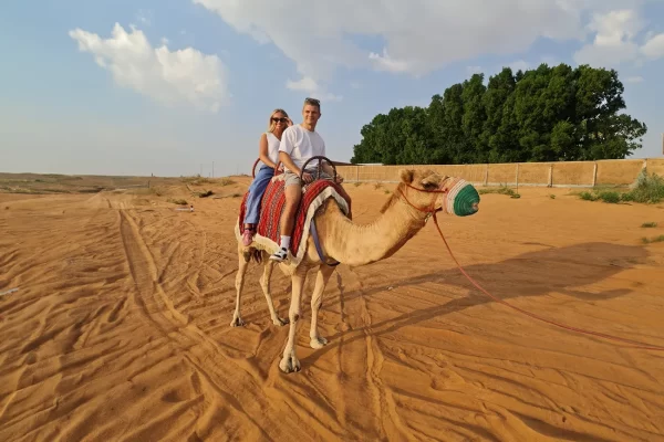 Morning Desert Safari Dubai - Image 2