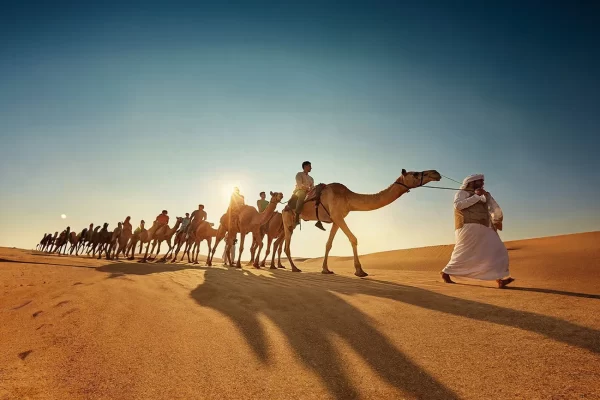 Dubai Combo Adventures Safari+City Tour - Image 3