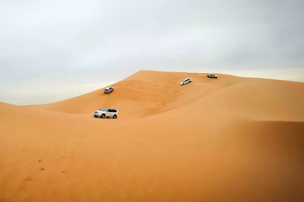 Royal Dunes Safari – Abu Dhabi - Image 14