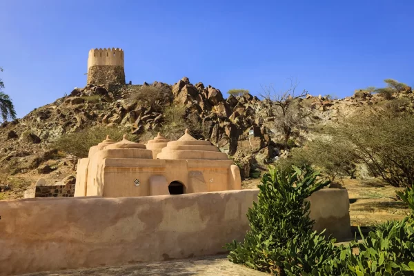 Fujairah East Coast Tour - Image 5