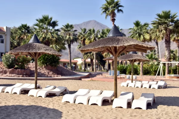 Fujairah East Coast Tour - Image 6