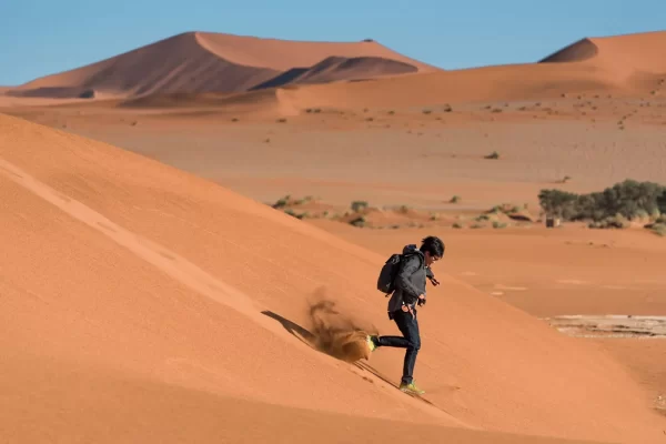 Royal Dunes Safari – Abu Dhabi - Image 15