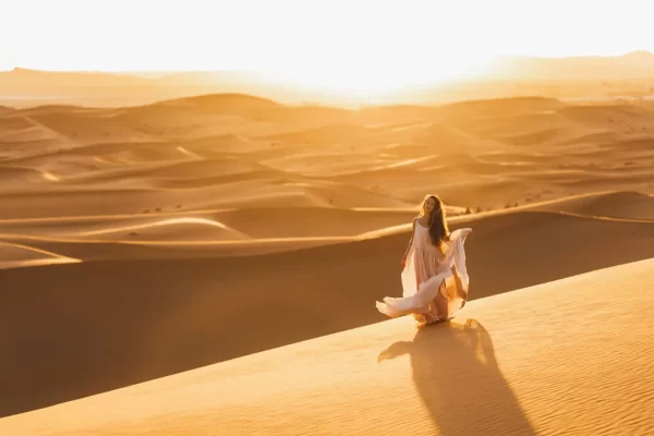 Royal Dunes Safari – Abu Dhabi - Image 18