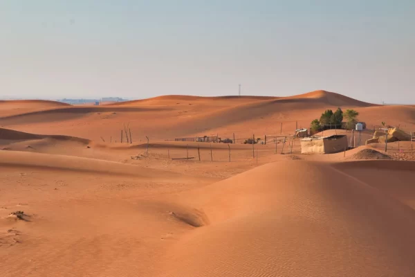 Royal Dunes Safari – Abu Dhabi - Image 19