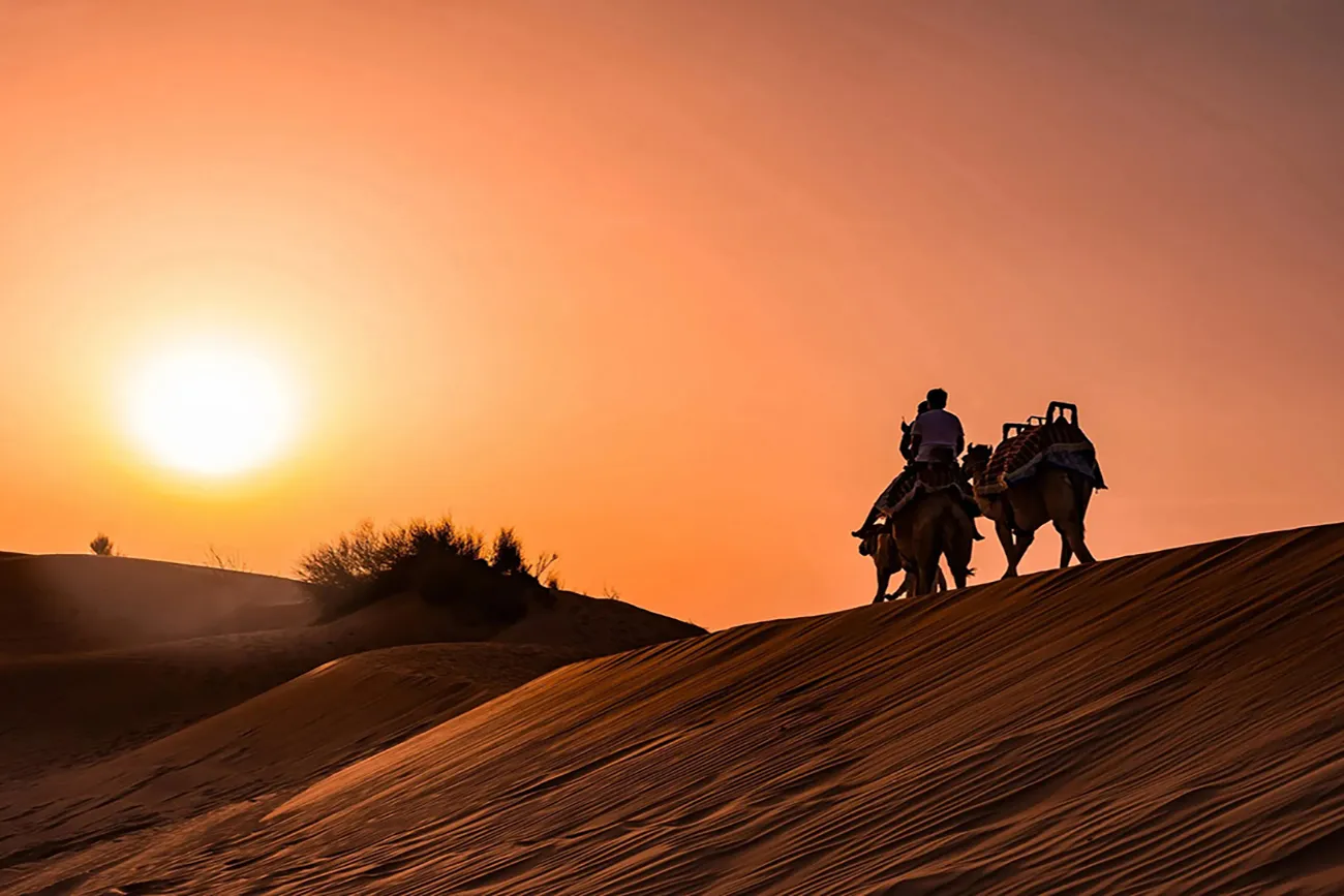 Travel & tours (2189)