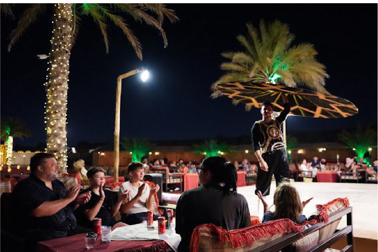 Serene Desert Dinner Experience