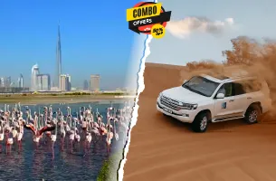 Morning Desert Safari + Flamingos Statue Combo